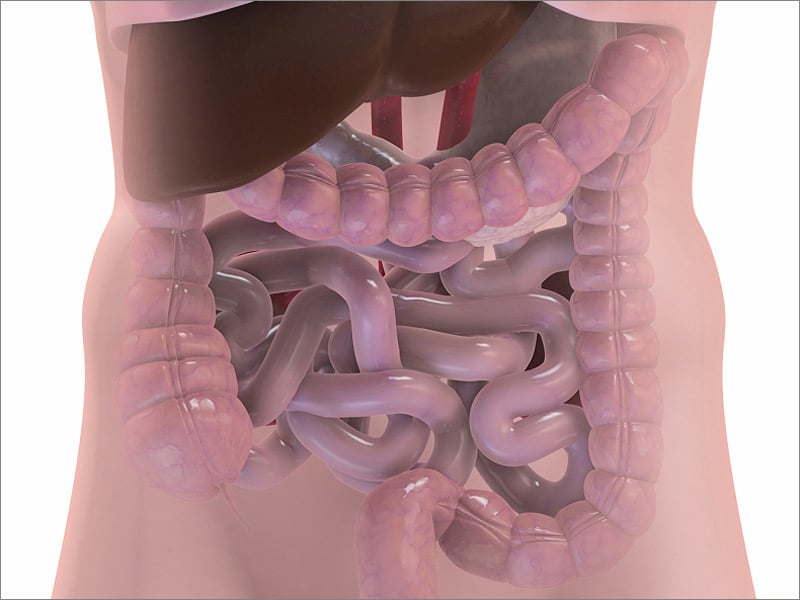The Importance of Getting a Colonoscopy to Screen for Colon Cancer
